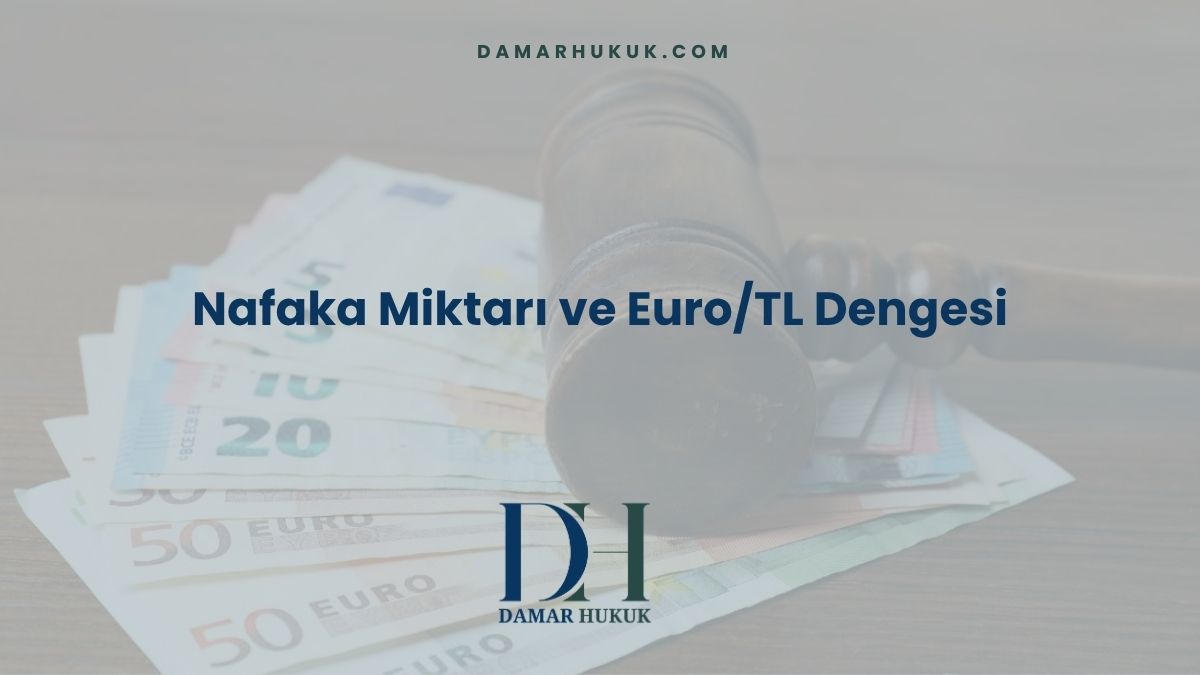 Nafaka Miktarı ve Euro/TL Dengesi